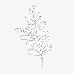 Tropic leaf monoline vector illustration.  