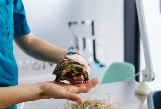 Veterinary office