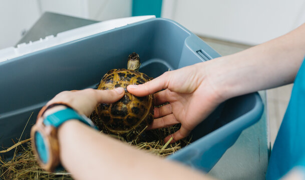 Veterinary office