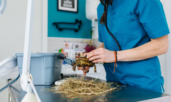 Veterinary office