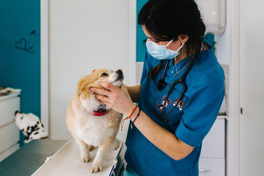 Veterinary office