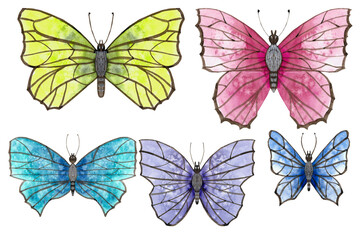 Set of 5 butterflies watercolor on white background   