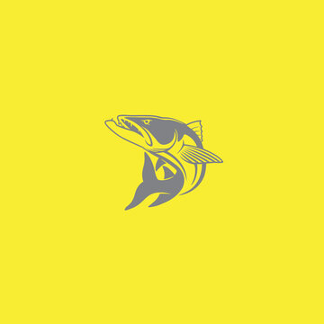 baracuda fish