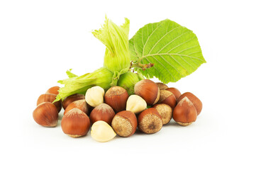 Hazelnuts with green branch isolated on white background