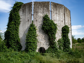 Fototapeta premium bizarre concrete structure overgrown with ivy