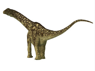 Argentinosaurus Dinosaur Juvenile Tail - Argentinosaurus was a herbivorous sauropod dinosaur that lived in Argentina during the Cretaceous Period.