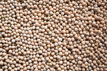 Raw whole dried white peas