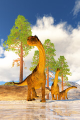 Camarasaurus Dinosaur Herd - A herd of Camarasaurus dinosaurs search for vegetation to eat during the Jurassic Age of North America.