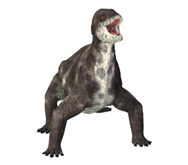 Criocephalosaurus Dinosaur on White - Criocephalosaurus was a therapsid dinosaur that lived during the Permian Period of South Africa.