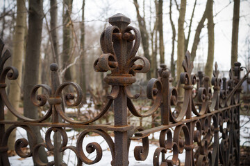 Figured rusty grave fence against background of leafless trees. Close-up.