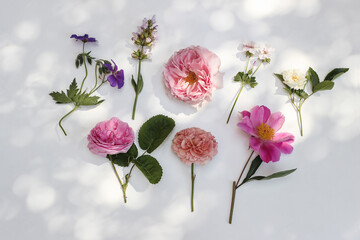 Feminine summer floral composition. Garden flowers and herbs isolated on white table background in sunlight. Colorful roses, sage, peony and geranium blooms and leaves. Flat lay, top view.