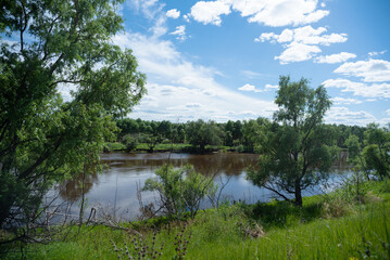 Fototapeta na wymiar A shore of the river under summer blue sky landscape background.