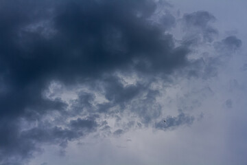 Gray blue sky and beautiful columnus clouds. View from below. It's going to rain soon.