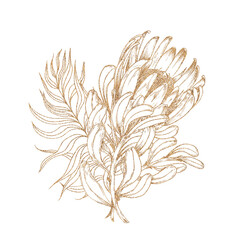 Floral protea and leaves arrangement. Gold graphic illustration on white background.