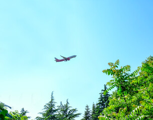 Take-off aircraft on the background of the jungle and trees