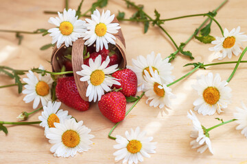 Chamomile flowers and Wicker basket with strawberries. Top view. Summer natural background
