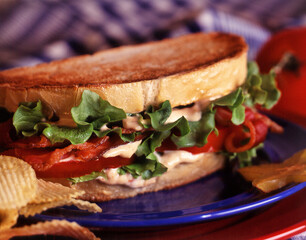 Sandwich images for the food industry.