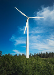 Wind eolic turbine in the park