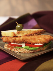 Sandwich images for the food industry.