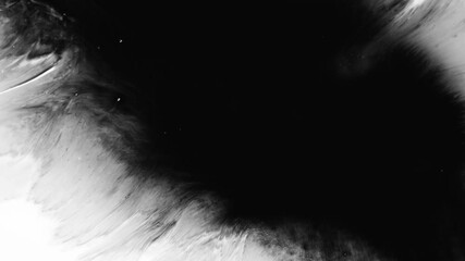 Isolated abstract artistic ink splatters, droplets spreading. Ink matte, splash transition reveals. Ink bleed, bloom, drips. Spilling black paint on white background, watercolor swirls. Spraying paint