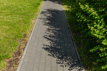 Footpath with grass texture background, paved path pattern
