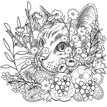 "Adult Coloring Pages" Images – Browse 13,227 Stock Photos, Vectors