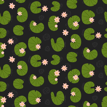 Lily Pad Top View Images Browse 537 Stock Photos Vectors And Video Adobe Stock