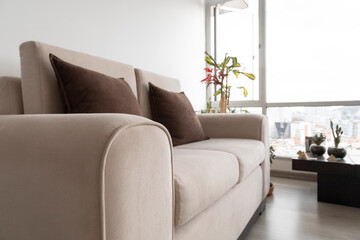 comfortable modern white sofa with cushions, plant and decorative objects in a living room with a large window in the daytime, home interior