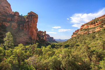 Fototapeta na wymiar Beautiful green canyon with red rocks in the desert