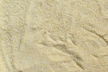 Raw coarse dry durum wheat semolina grains