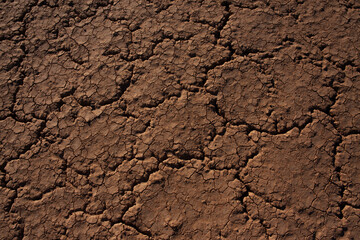 Dry cracked soil in drought conditions