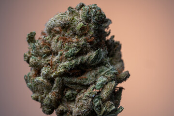 Cannabis Flower Macro - Strain: False Teeth