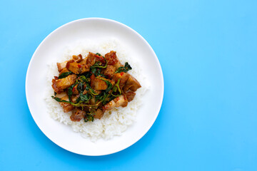 Rice topped with stir fried crispy pork with holy basil