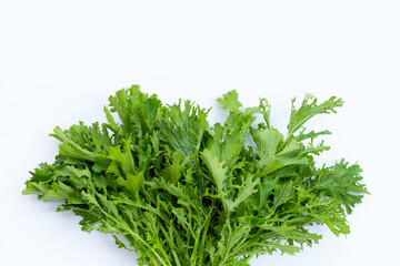 Mustard Green on white background.