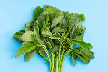 Green spinach on blue background.