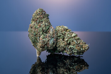 Cannabis Flower Macro - Strain: E-1 CBD