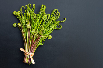 Paco Fern on dark background.