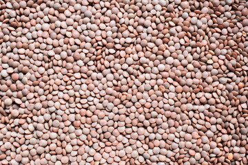 Whole dried brown Masoor lentil