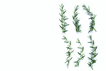 Rosemary isolated on white background.  Top view