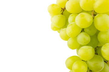 a branch of grapes