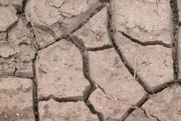 cracked soil background
