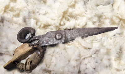 Obraz premium Old Shearing scisors