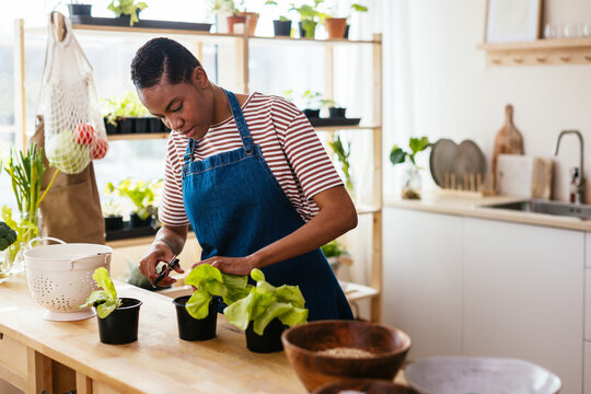 Black woman cutting leaves of lettuce on table