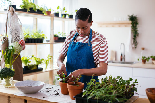 Black woman transplanting plants on table