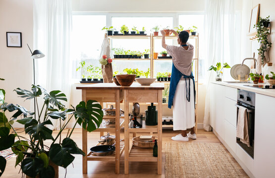 Anonymous black woman putting potted plant on shelf
