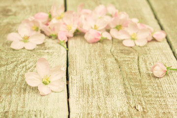Flowers. Apple tree blossoms on rustic wooden background with copy space for greeting message. Vintage floral background with retro filter effect. Copy space