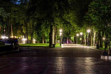 The tiled road in the night green park with lanterns in spring. A benches in the park during the spring season at night. Illumination of a park road with lanterns at night. Mariinsky Park. Ukraine