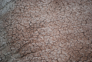 Cracked Texture