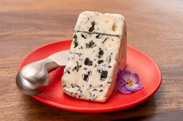 Cheese collection, piece of soft French blue cheese roquefort