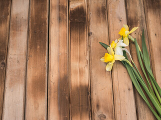 Flower. Daffodil. Spring flowers. Yellow Narcissus on wooden background. Bouquet of Daffodils. Vintage floral background with Narcissus. Copy space